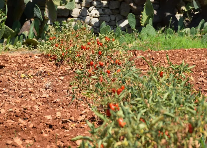 Mamma Maria Salento - Alle Macchie *